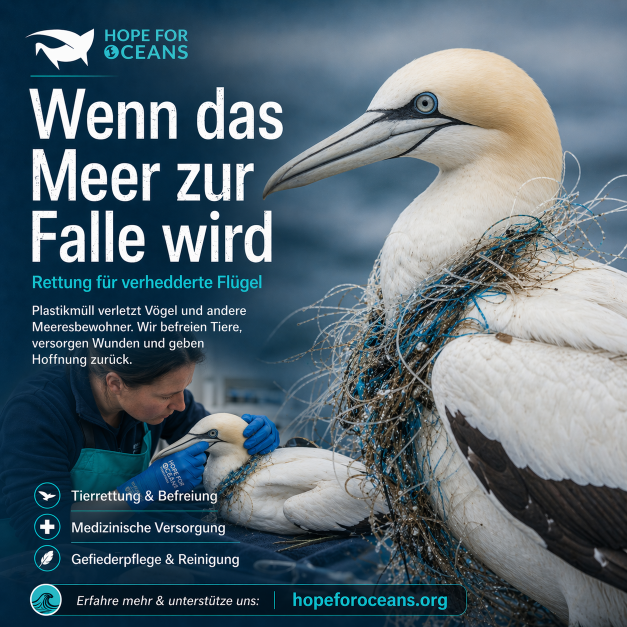 Vogelschnabel in Plastikring